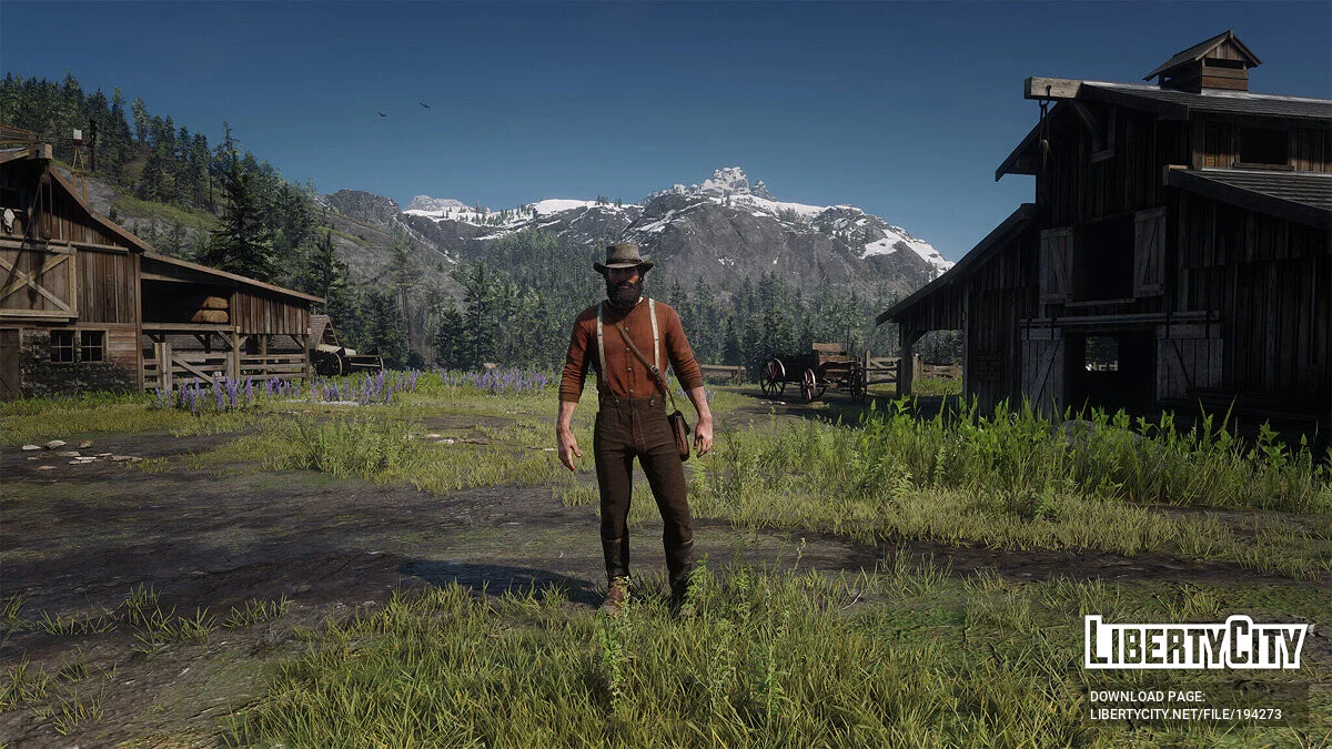 Cinematic Grading [1.0.1] / Red Dead Redemption 2