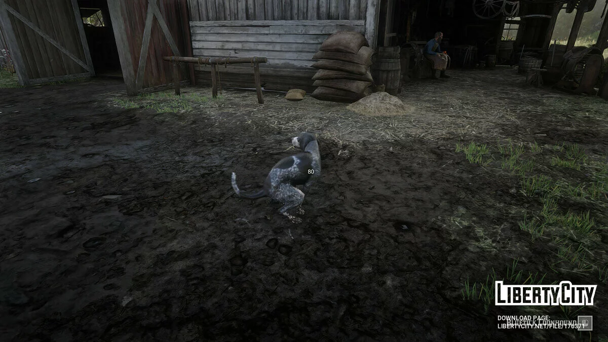 Show Target Health / Red Dead Redemption 2