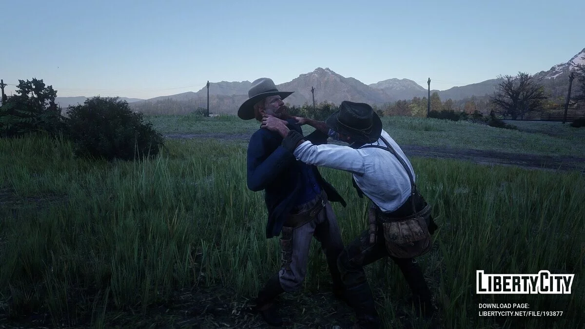 Enhanced Brawling [1.1] / Red Dead Redemption 2