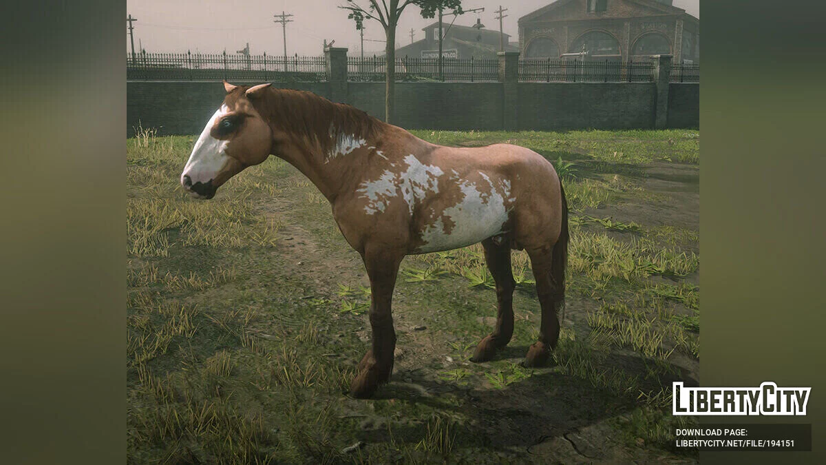 Online Turkoman Horses / Red Dead Redemption 2