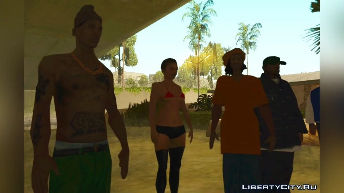 Nigga collection v.2 / GTA San Andreas