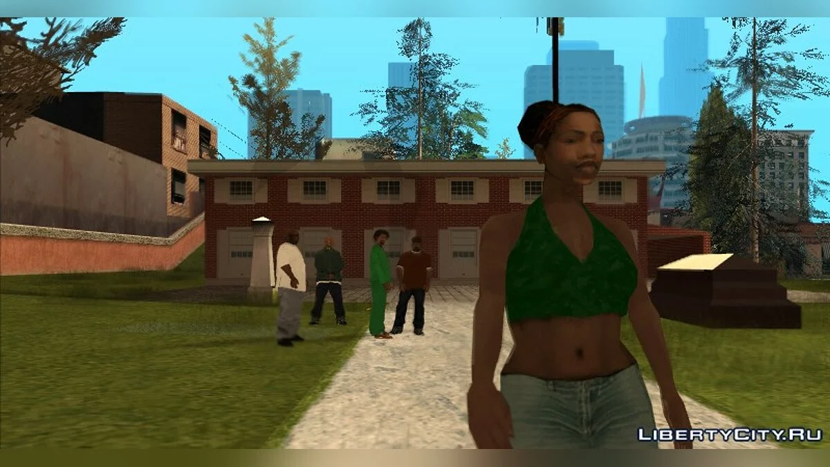 Nigga collection / GTA San Andreas
