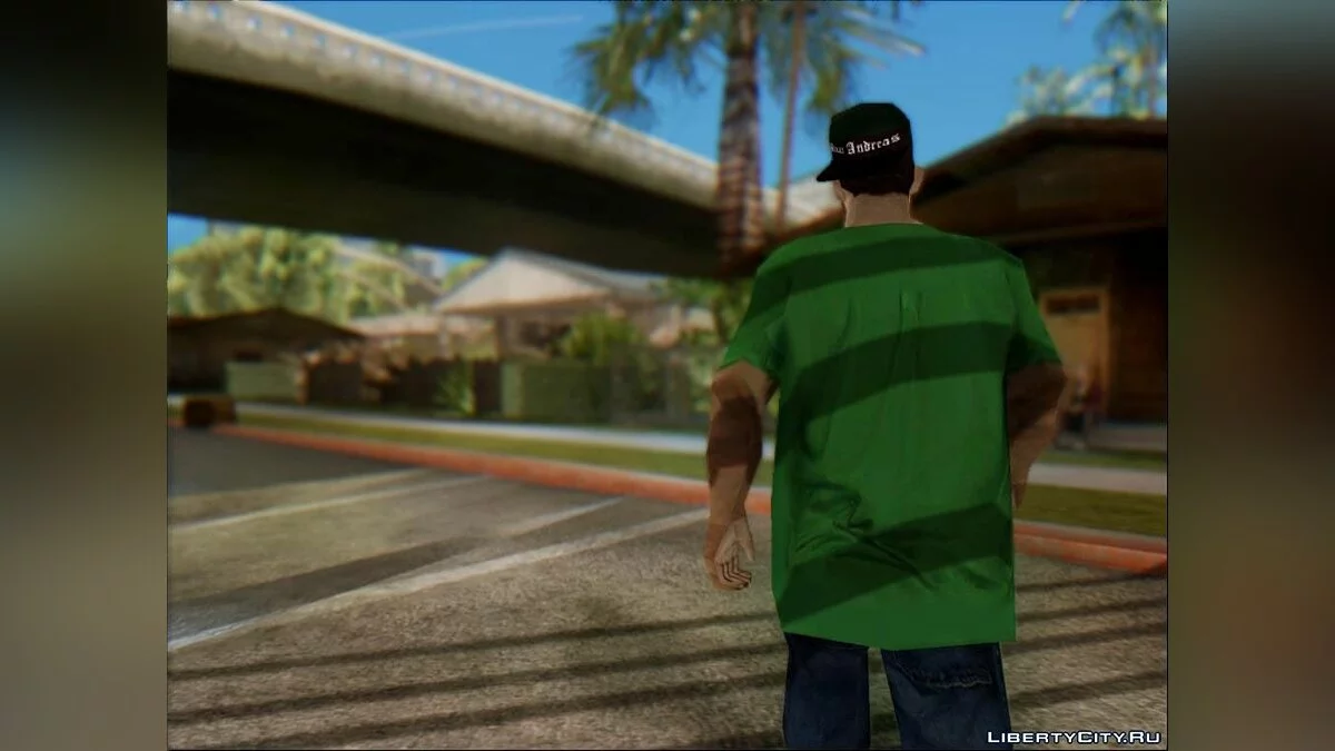 Новый дружок / GTA San Andreas