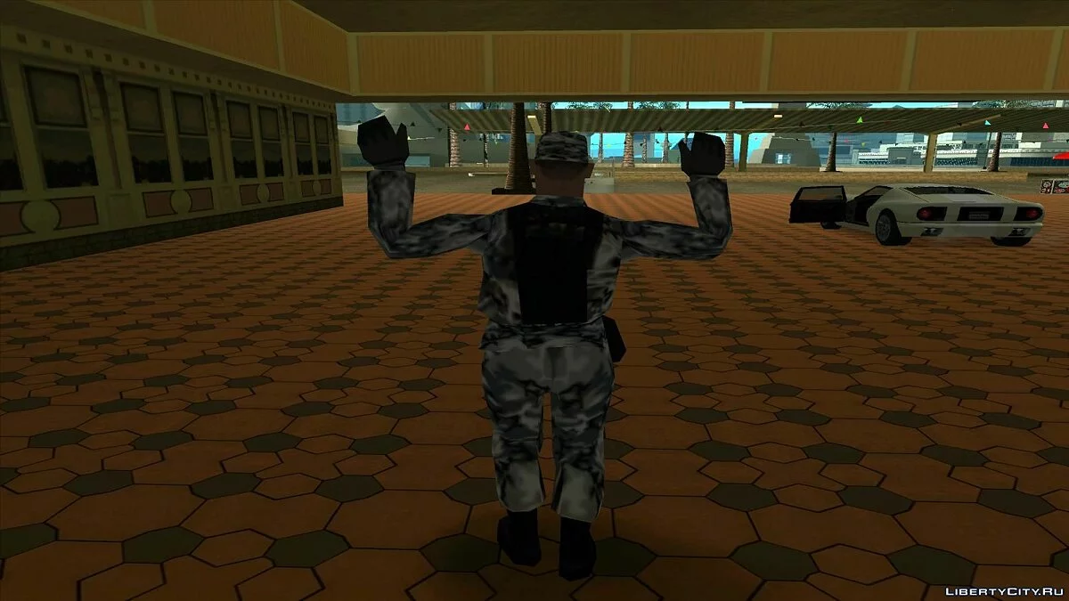 Зимний армейский камуфляж. / GTA San Andreas