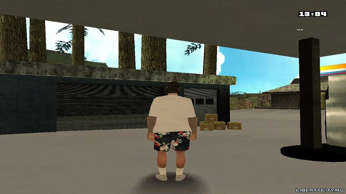 Donald / GTA San Andreas