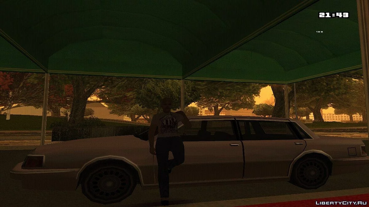 Amanda / GTA San Andreas