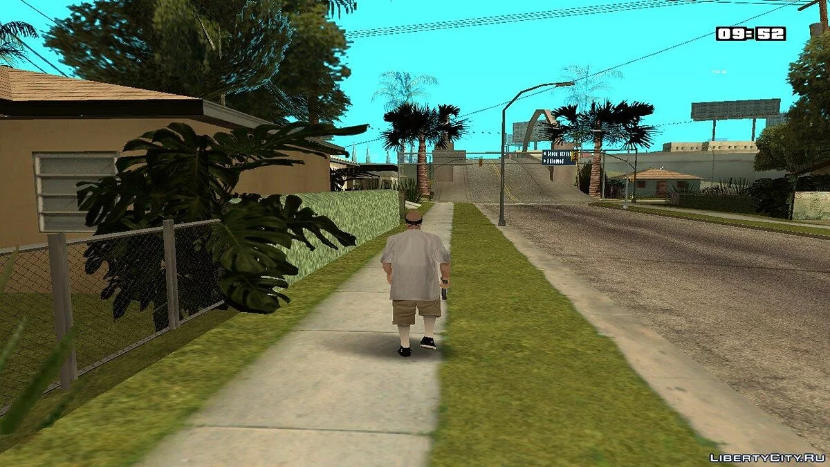 Skater  / GTA San Andreas