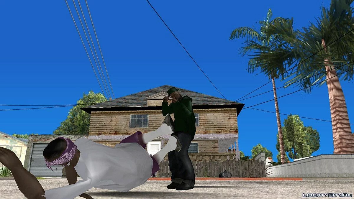 Sweet Skins Grove  / GTA San Andreas