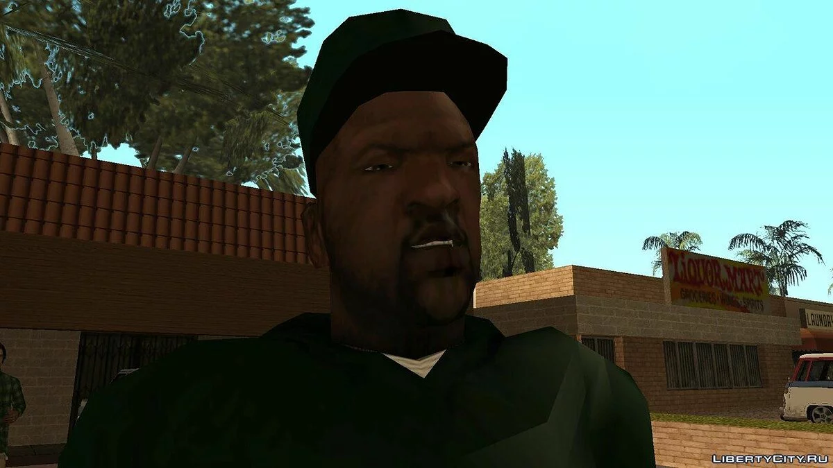 Sweet Skins Grove  / GTA San Andreas