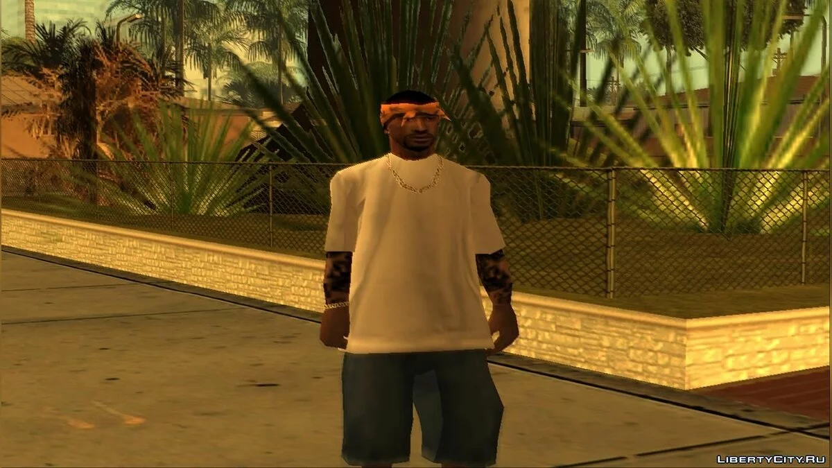 Новые барыги (New dealers) / GTA San Andreas