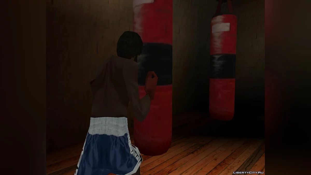 Новый боксёр / GTA San Andreas