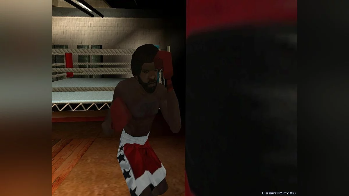 Новый боксёр / GTA San Andreas