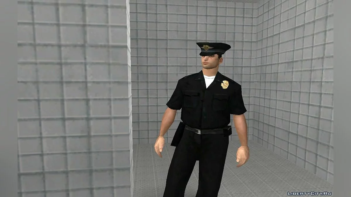 LAPD 1.0 / GTA San Andreas