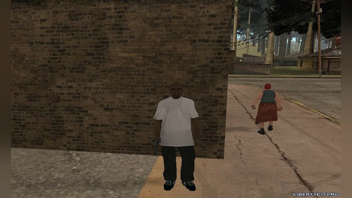 Nigga / GTA San Andreas