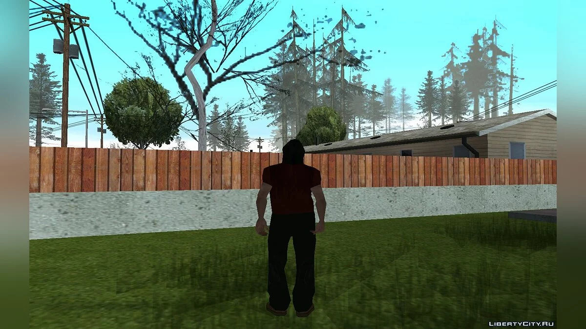 Гранд / GTA San Andreas