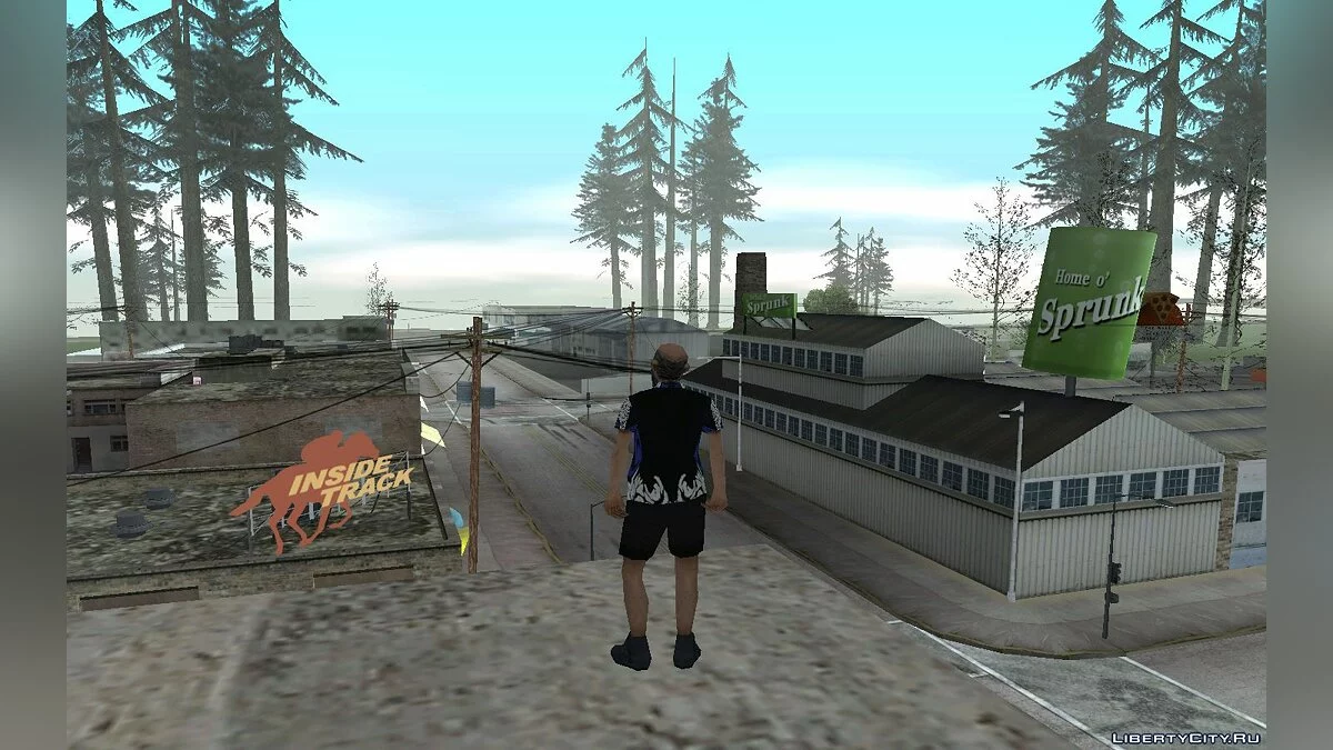 Винс / GTA San Andreas