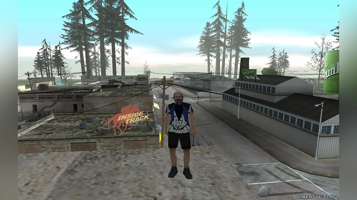 Винс / GTA San Andreas