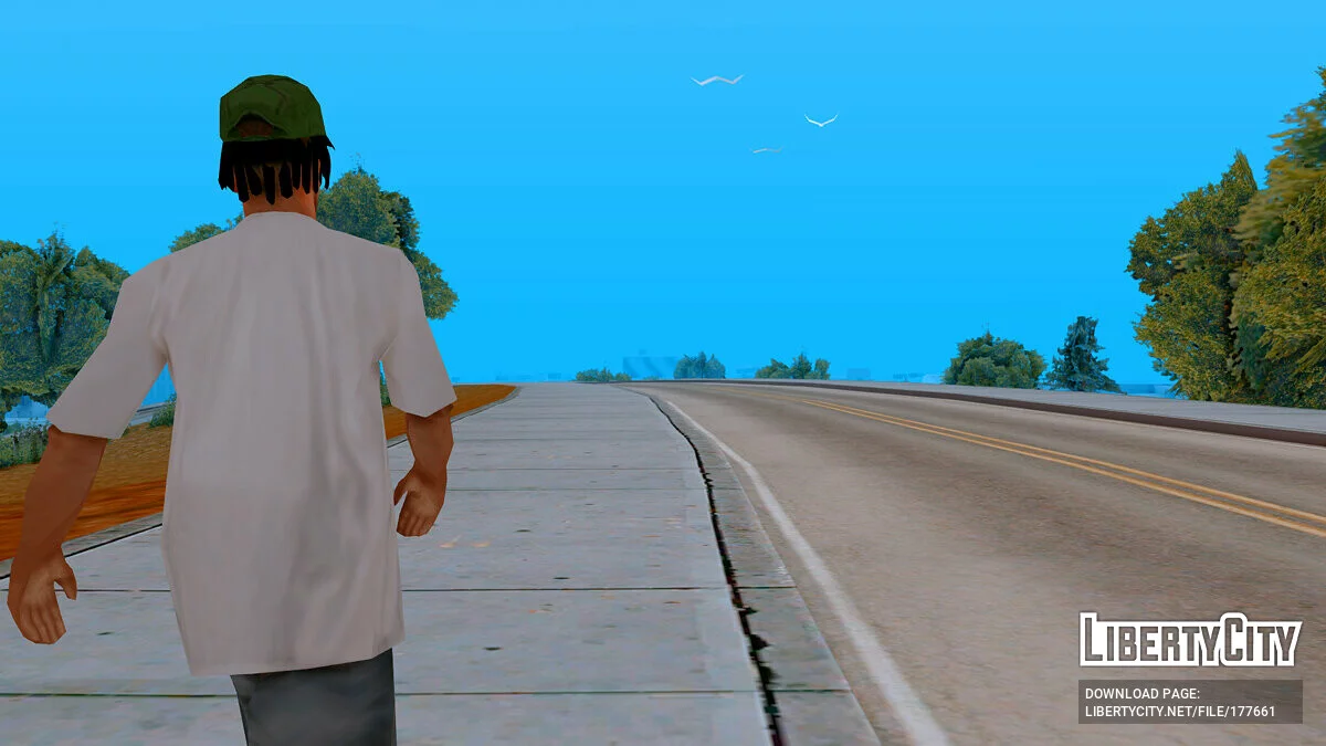 Новый член банды Grove Street / GTA San Andreas