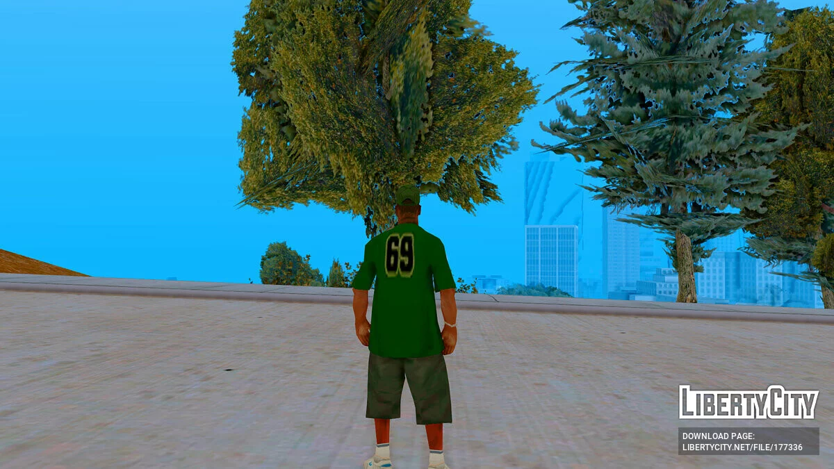Sweet в новой одежде / GTA San Andreas