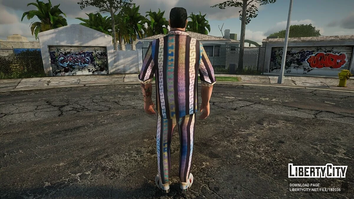 Бородатый мужчина / GTA San Andreas
