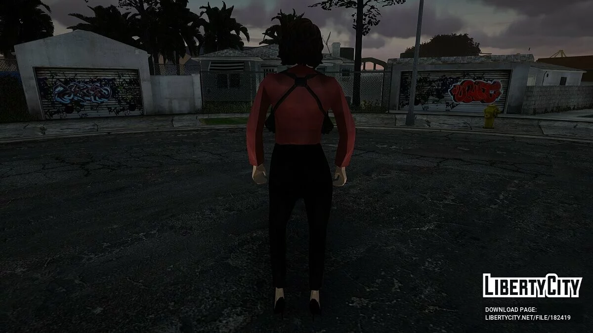 Девушка-детектив / GTA San Andreas