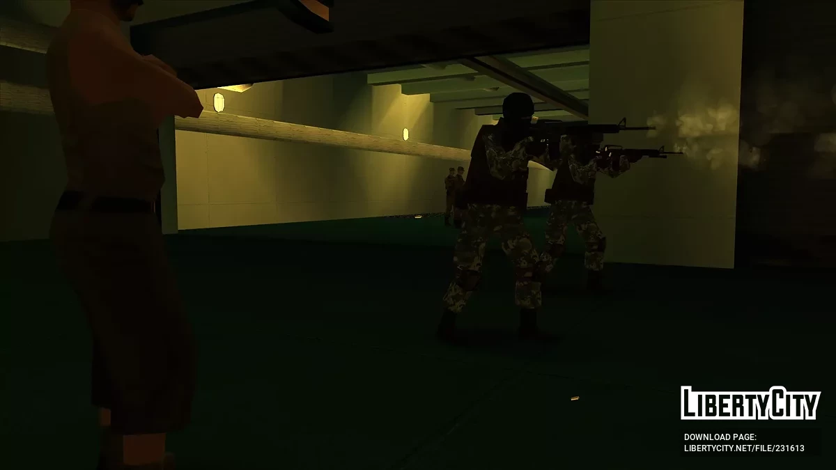 Специальный разведывательный отряд (SRD) ВМС / GTA San Andreas