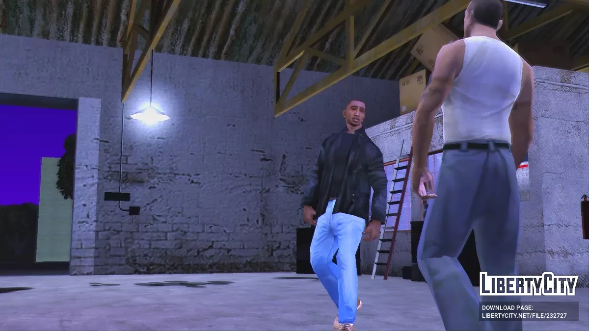 Лицо Брайана Джонсона / GTA San Andreas