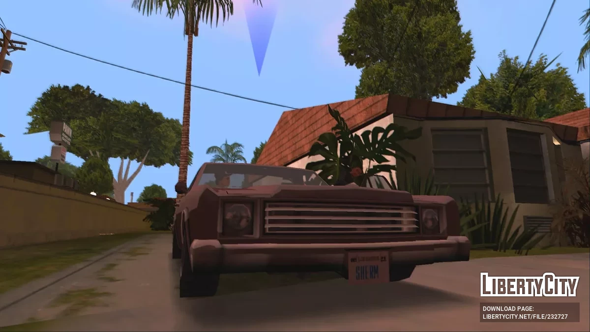 Лицо Брайана Джонсона / GTA San Andreas