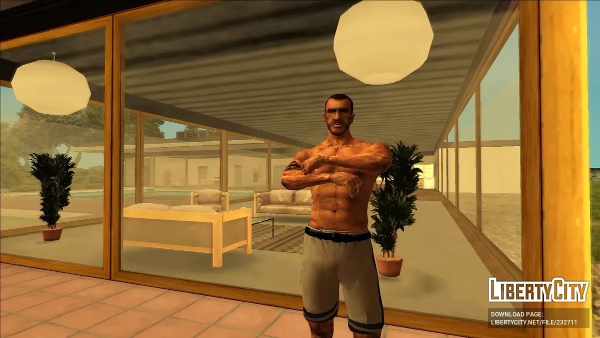 NB Insanity Player.IMG / GTA San Andreas