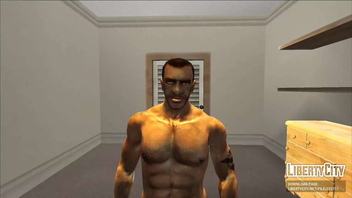 NB Insanity Player.IMG / GTA San Andreas