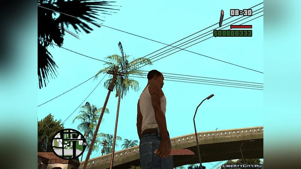 Новый dildo / GTA San Andreas