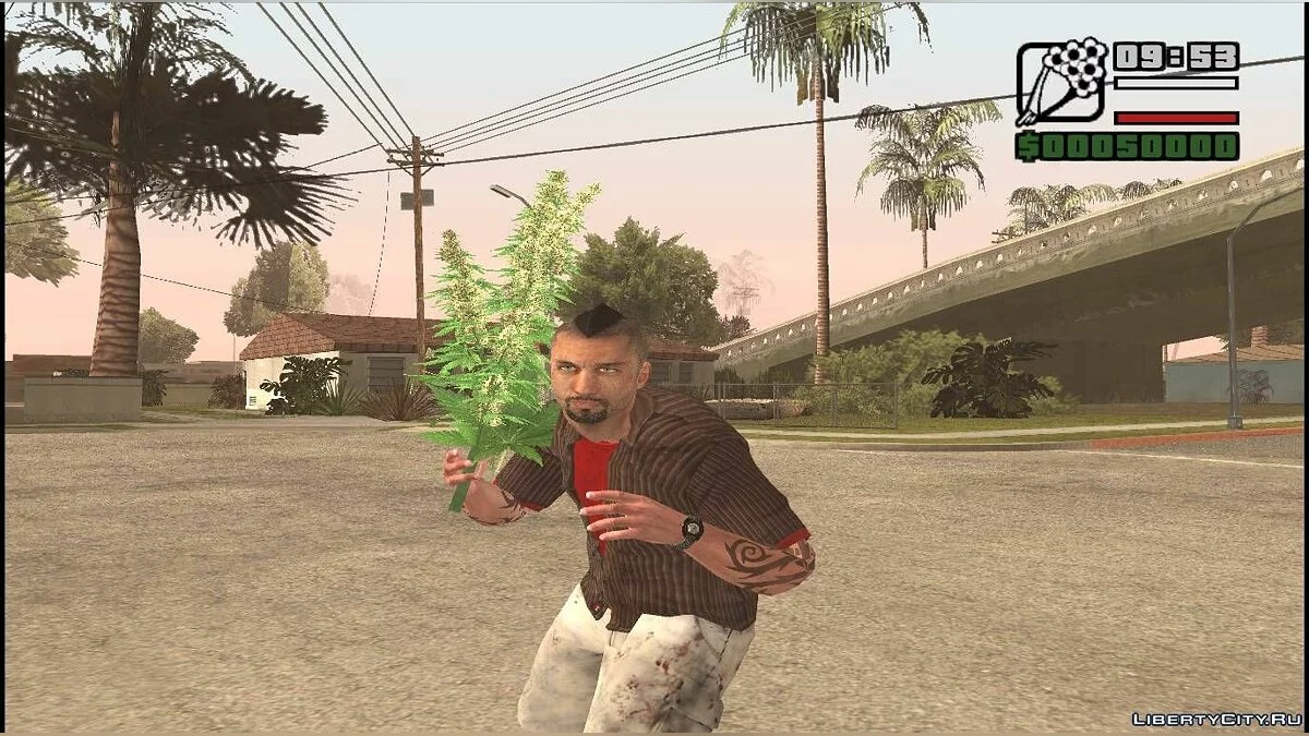 Куст конопли / GTA San Andreas