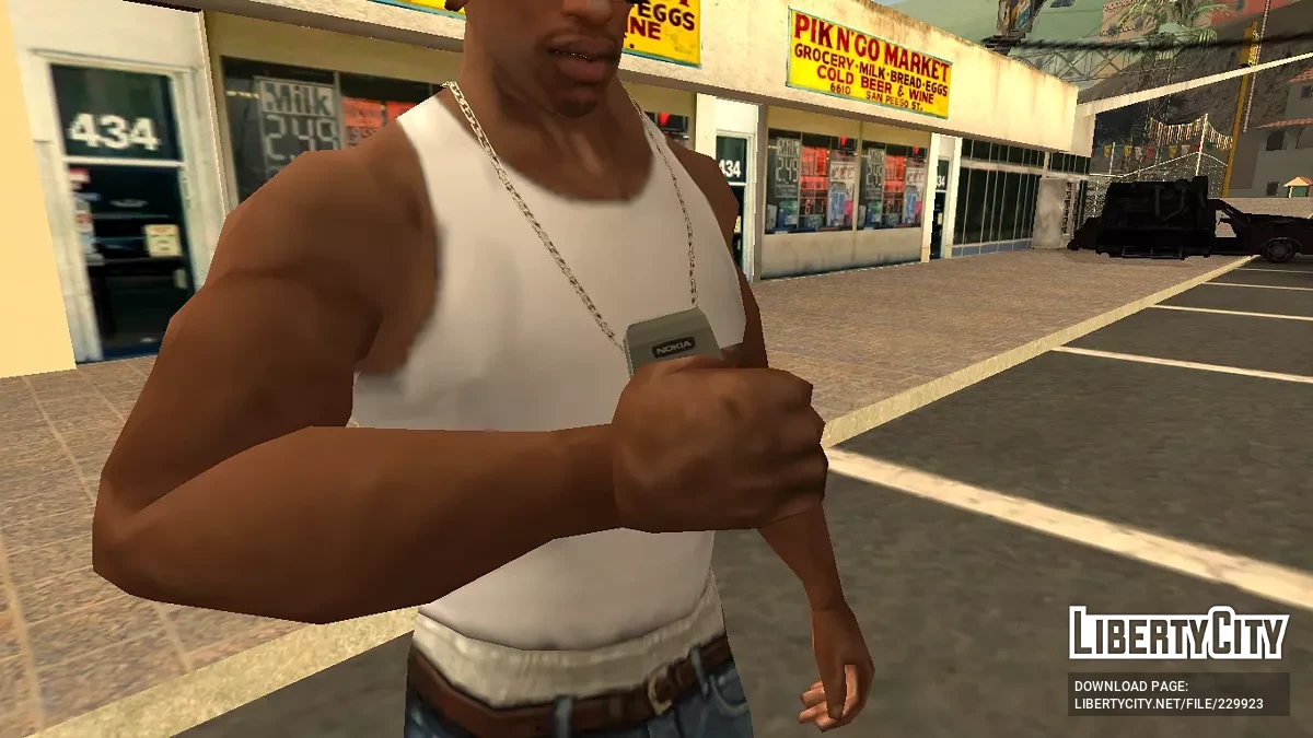 Nokia 3310 / GTA San Andreas