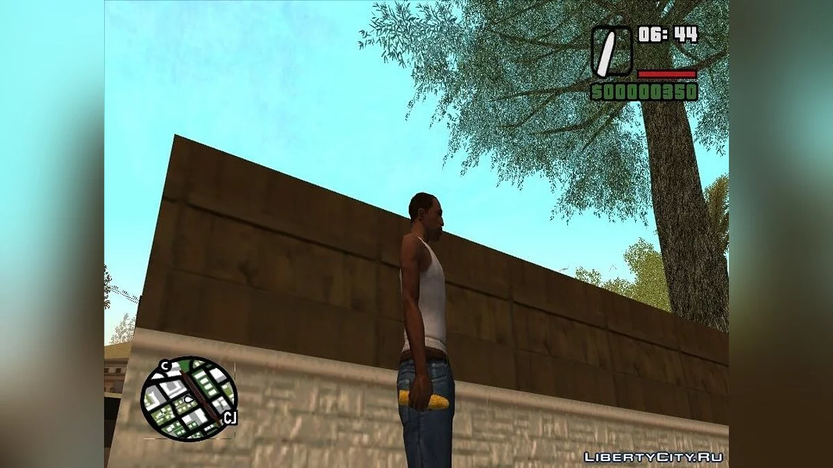 Набор интимного оружия / GTA San Andreas
