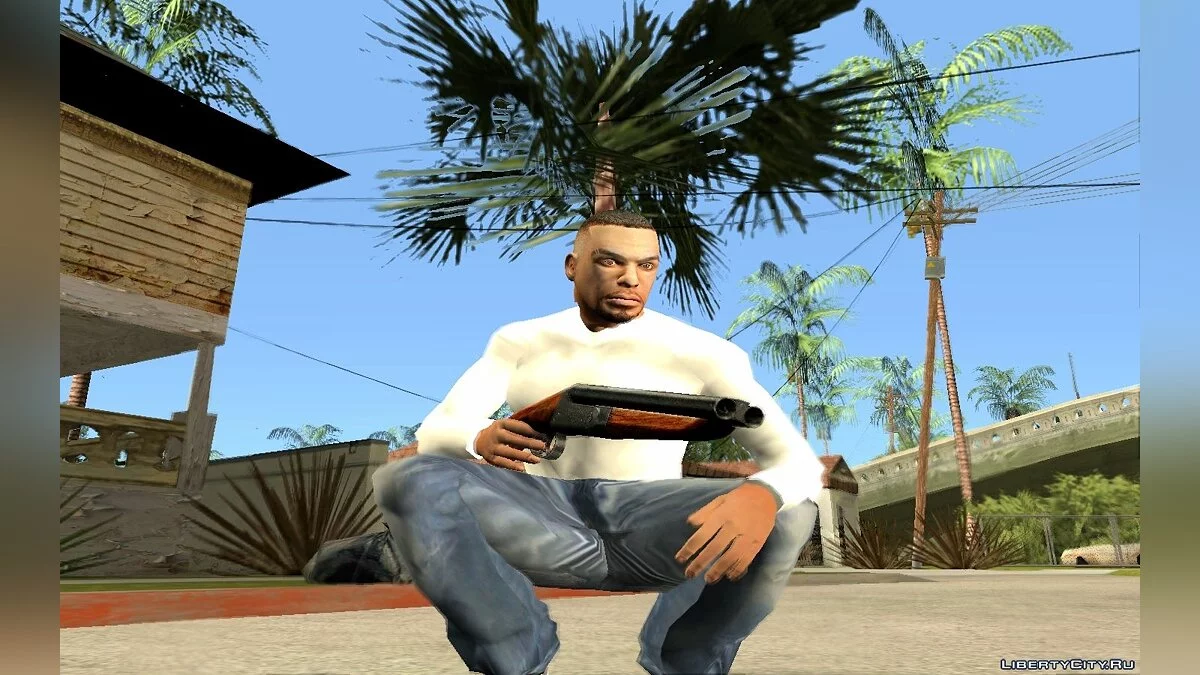 Gun Pack / GTA San Andreas