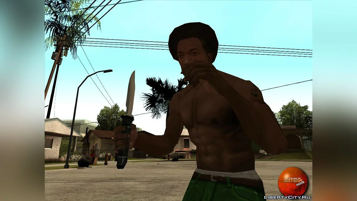 Weapons Pack / GTA San Andreas