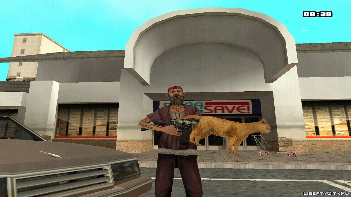 HD Weapons Pack cat / GTA San Andreas