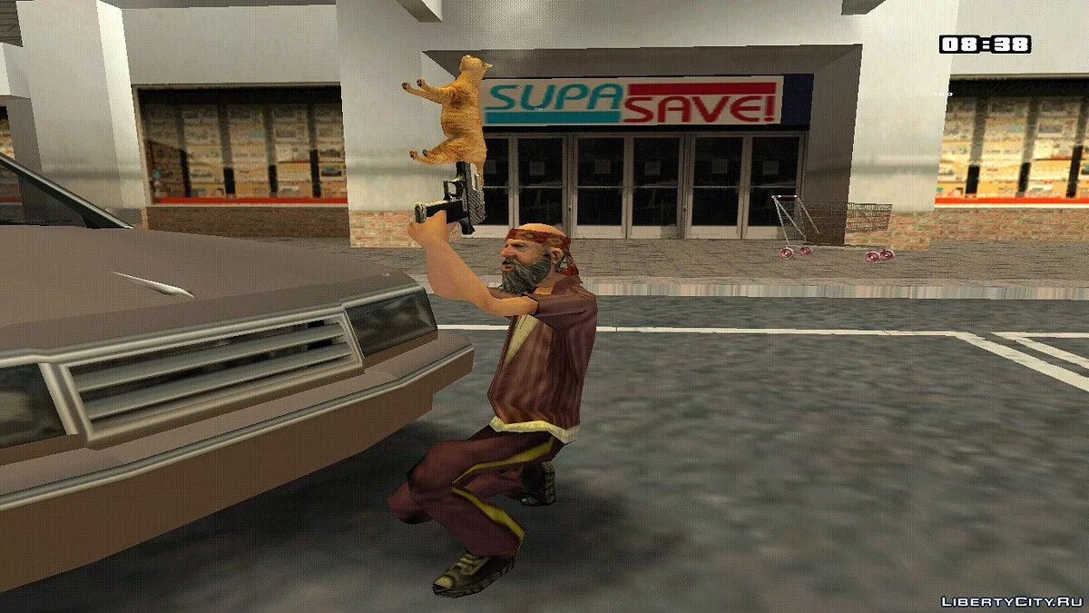 HD Weapons Pack cat / GTA San Andreas