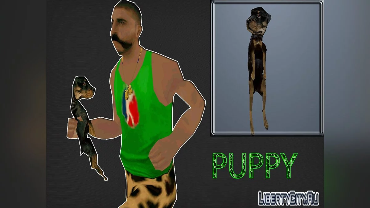 Puppy / GTA San Andreas