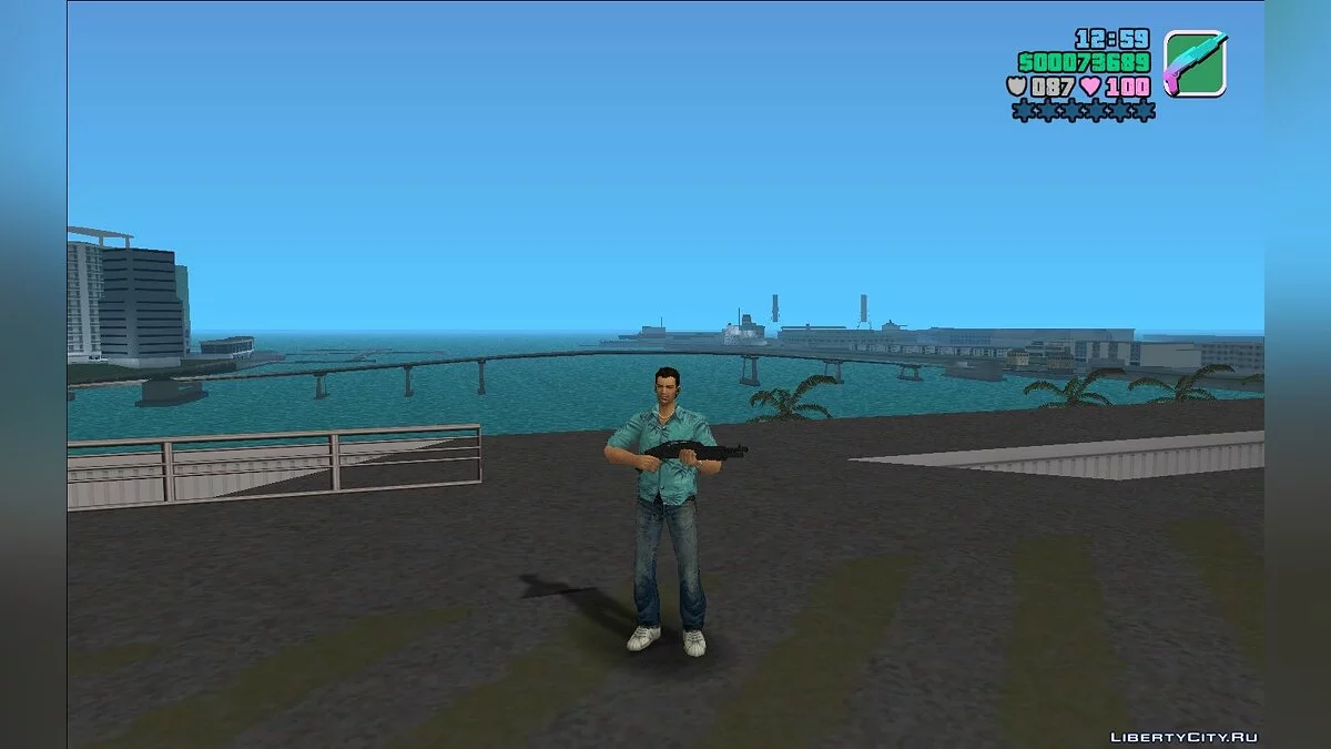 Боевой дробовик из GTA 5 (DLC Кайо-Перико) / GTA Vice City