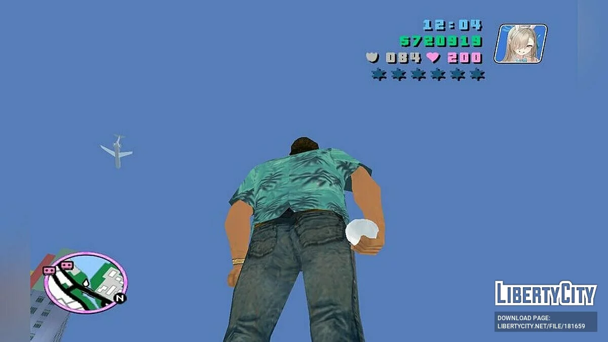 Rabbit Tail Grenade / GTA Vice City