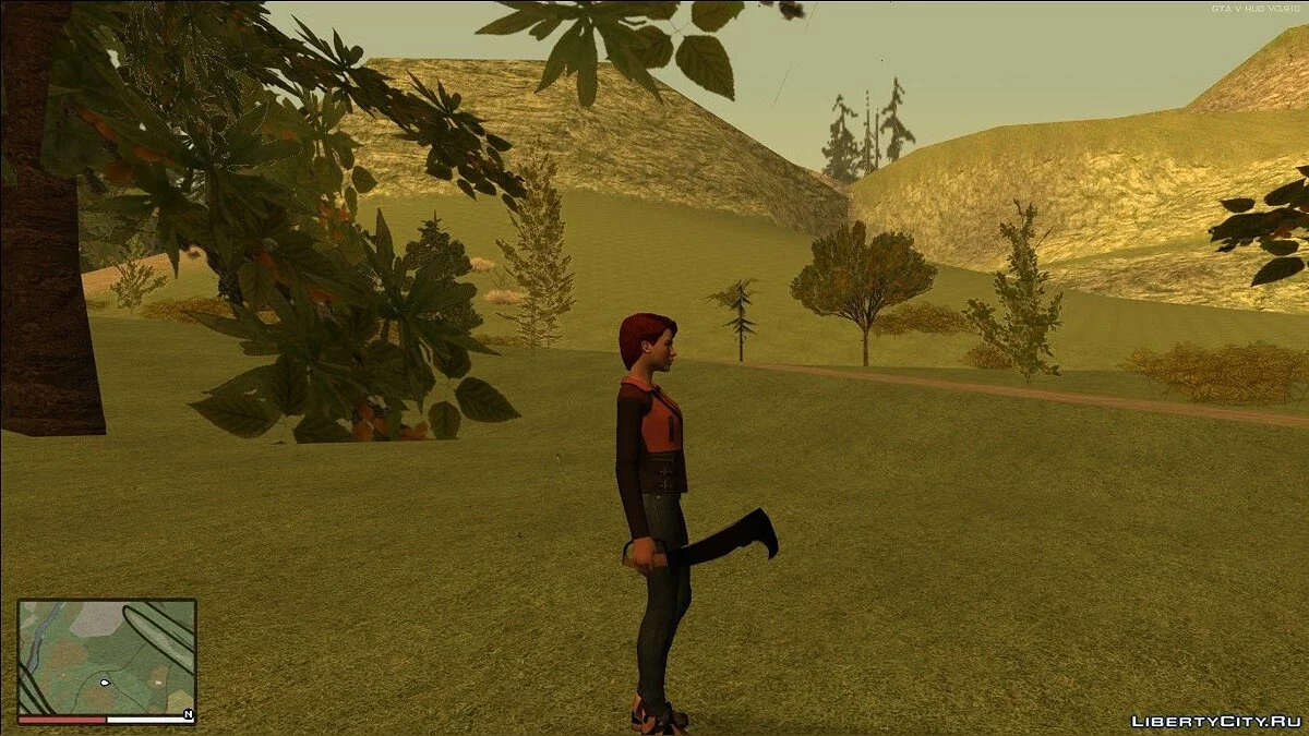 The Woodman's Pal / GTA San Andreas